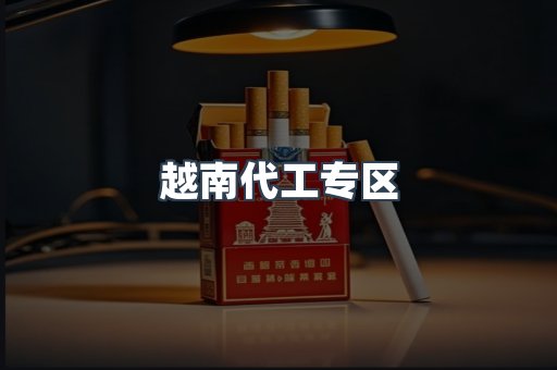 越南代工专区